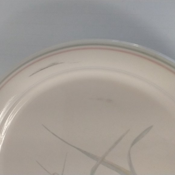 Vintage (5) Dinner & (6) Salad Plates by Corelle Corning Spring Pond Dinnerware - Picture 4 of 11